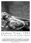 Joshua Tree, 1951 A Portrait Of James Dean (2012)2.jpg